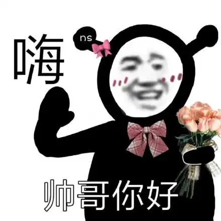 ns 嗨帅哥你好_你好_帅哥_ns表情