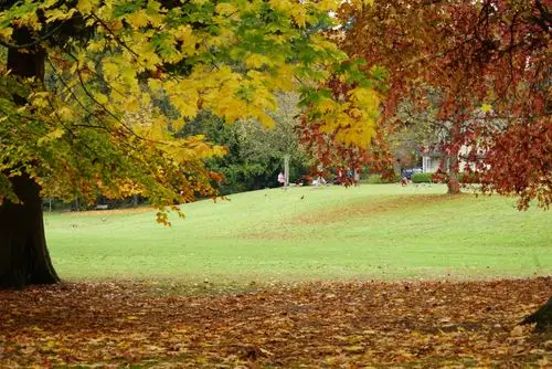 写美篇  距温哥华市中心10多分钟车程的史丹利公园,总面积为6700亩,是