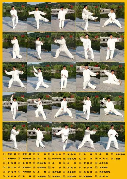 麻广平 - 陈式太极拳 - 第13代传人 - 中华太极拳传承网(taijiren.cn)