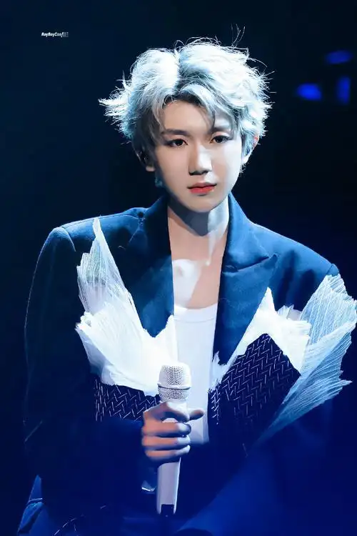 王源客厅狂欢巡演