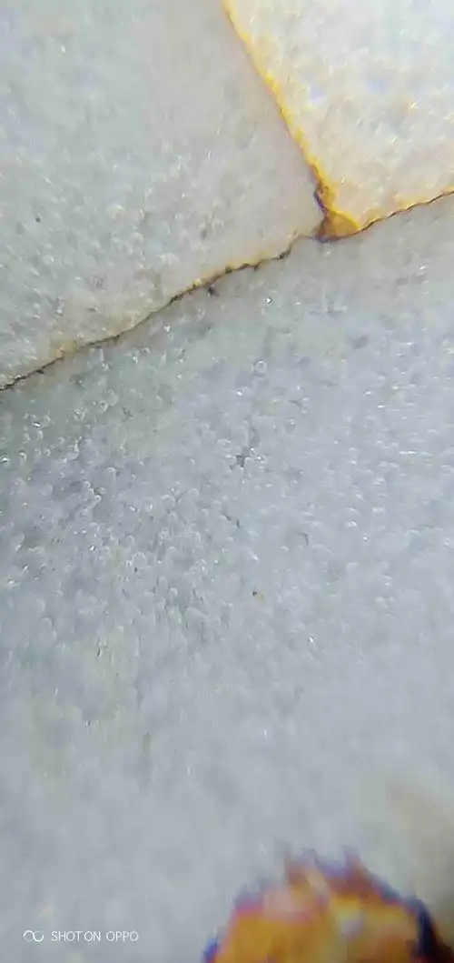 各位老师,这种瓷器气泡是什么年代的?