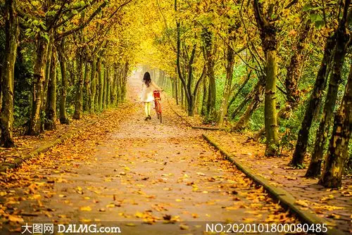 秋季在公园小路散步的女孩摄影图片