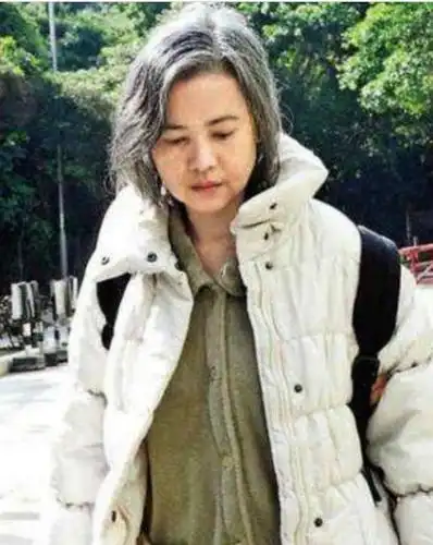 蓝洁瑛,1995年和1997年,她的父母亲先后去世,后又被娱乐圈大佬侮辱.