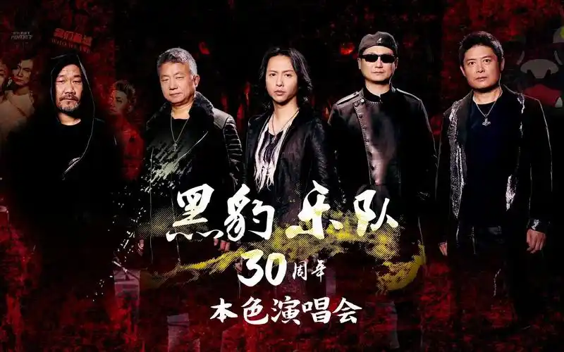 黑豹乐队三十周年本色演唱会backtorock现场版