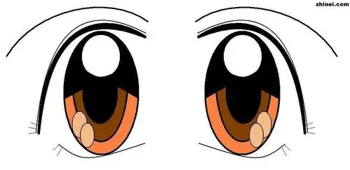 我们身体上还有很多成对的部位.   一双眼睛.左眼和右眼.