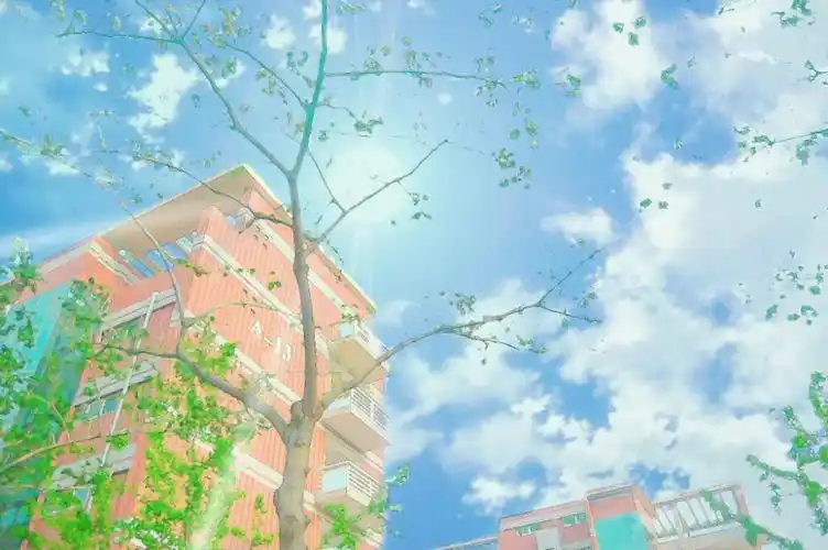 堆糖,美图壁纸兴趣社区