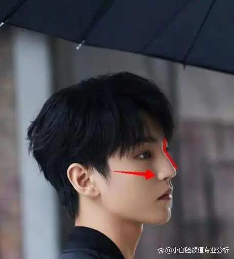 整形医生分析:王俊凯颜值胜在软组织恰到好处,自然生成贵气感