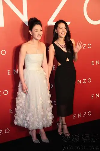 高圆圆与李小冉斗艳 不介意赵又廷旧爱参加婚礼