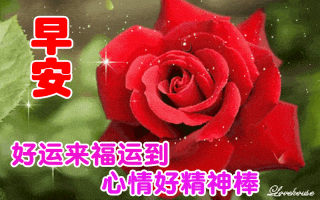 678张最新中老年早安祝福表情包不用打字聊天的早上好动态祝福动态