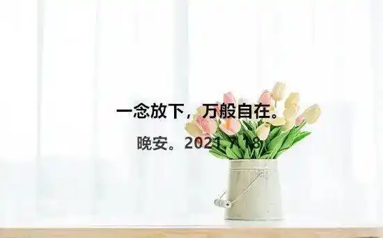 半生已过学会放过