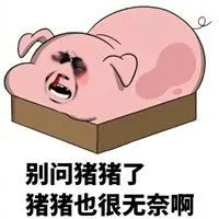 搞笑金馆长猪猪吐槽微信qq表情包图片