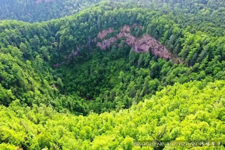 走进罕见的火山口地下森林,来一次夏日避暑惬意行