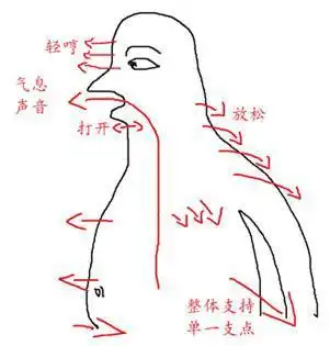 扫描二维码 分享至好友和朋友圈 "u通道就像一条马路,支点就像小汽车