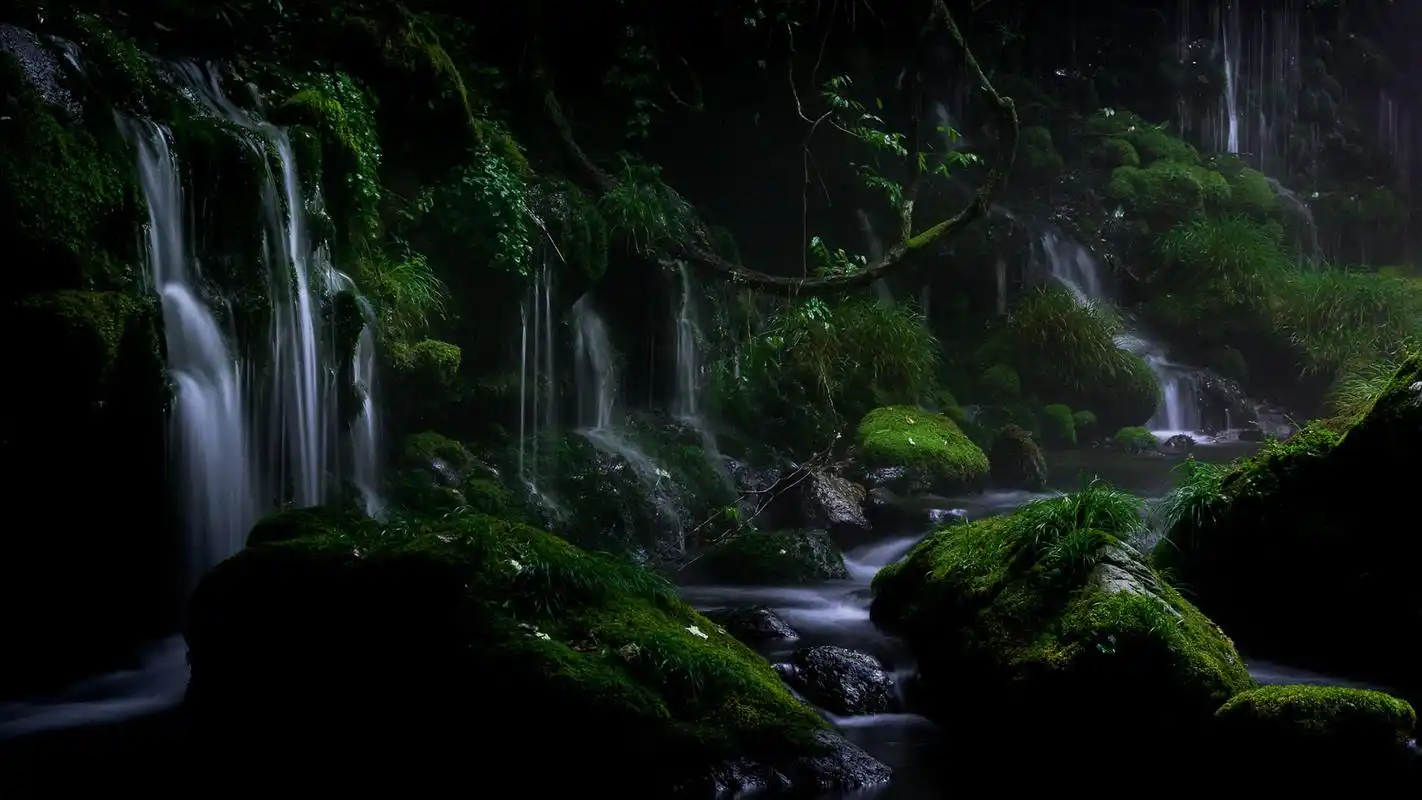 绿色护眼清新植物摄影高清宽屏桌面壁纸