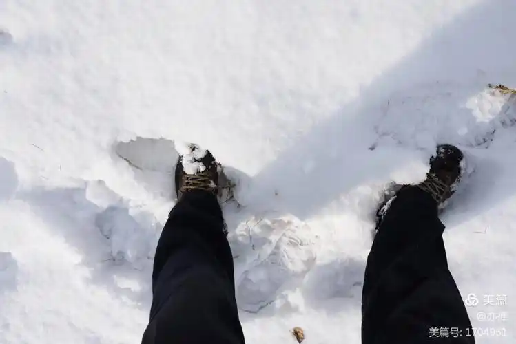 雪中的蚬河公园