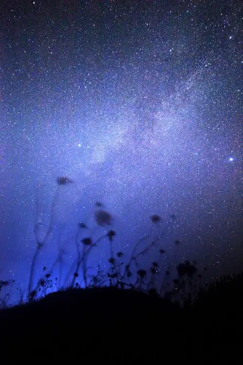 碧海蓝天渔山岛第三季-星空