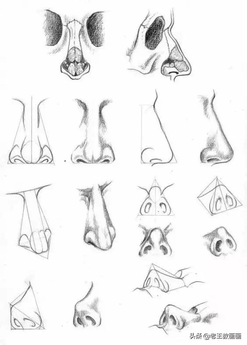 人物素描图(素描画人物简单 初学者)