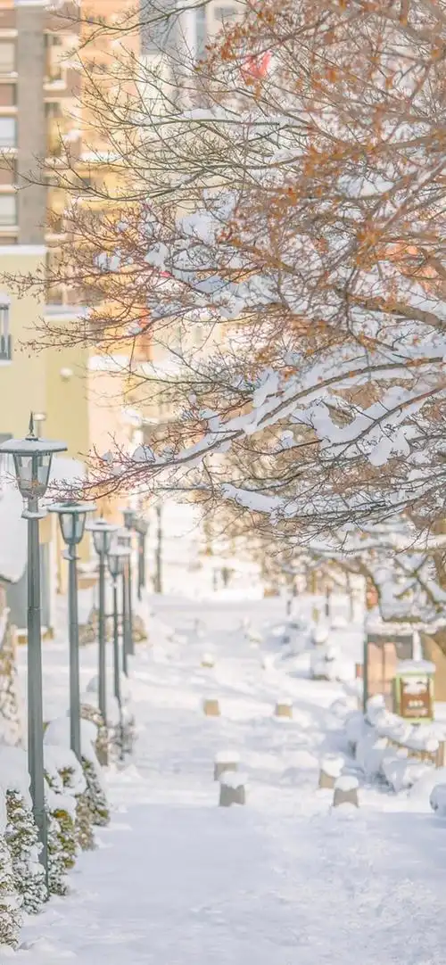 冬日唯美治愈街道雪景