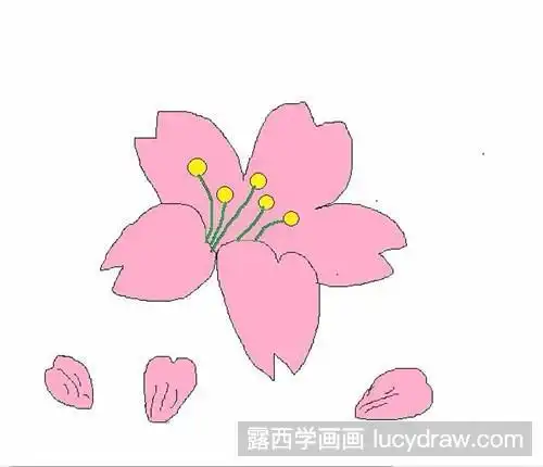 简笔画教程教你画桃花瓣