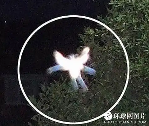 各种吓人 盘点全球35张知名"鬼照片"