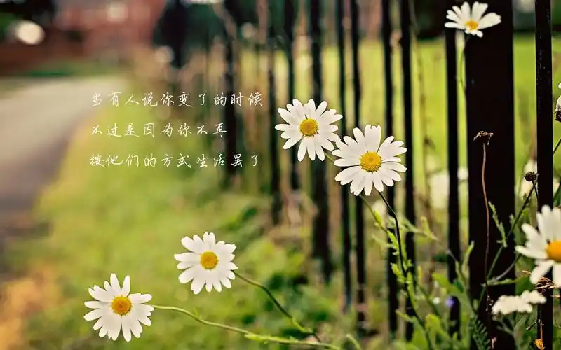 > || 更新时间:2017-12-31 颜色分 黑色 关键词:  护眼壁纸 文艺 清新