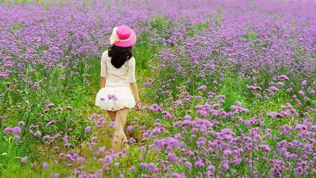 回车桌面>图库>唯美花海背影> | 美女壁纸 | 手机壁纸 | 摄影图库