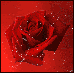 262_256gif 动态图 动图