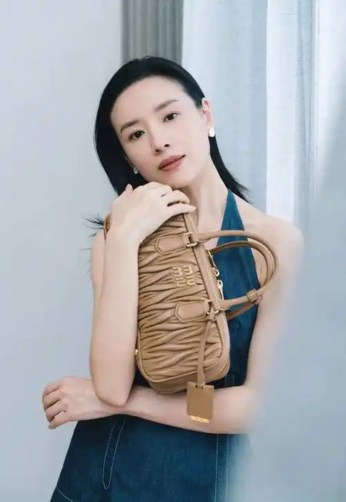 明星写真第54集丨董洁