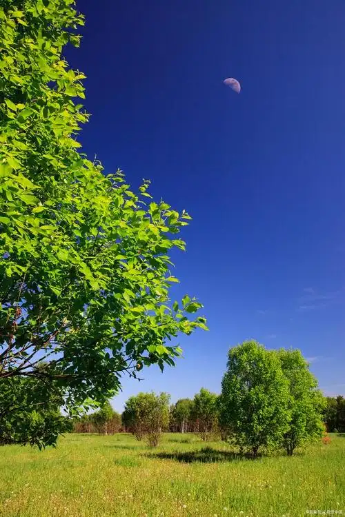 风景壁纸|色彩斑斓的大自然