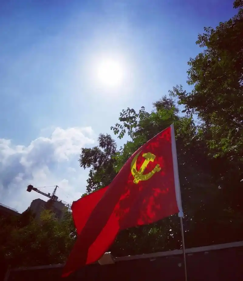 阳光下的党旗 今天在楼下给邻居们派送生活物资时,看到迎风飘扬的党旗