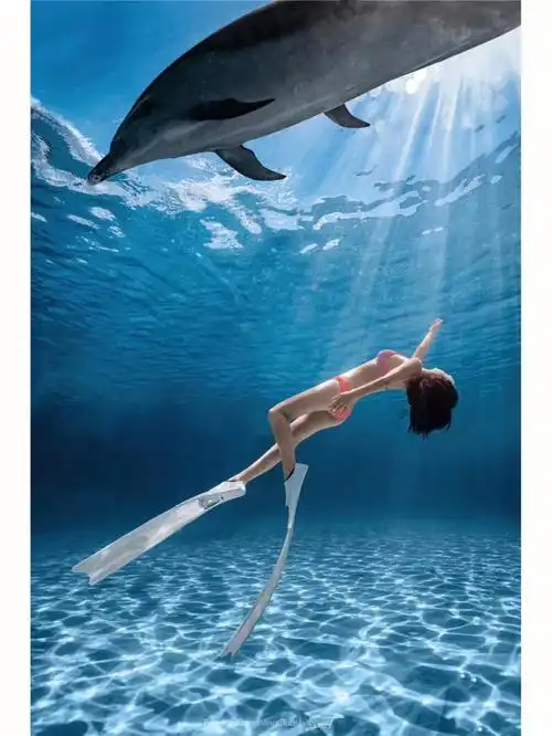 海豚宝宝好可爱