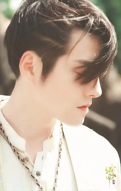 严宽严屹宽如果晚生二十年