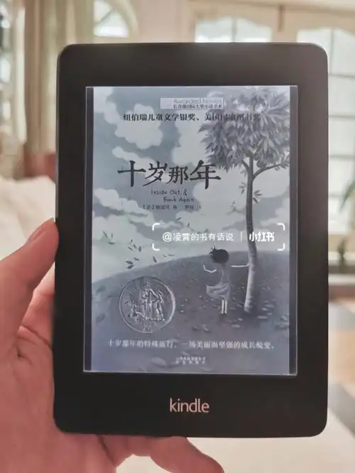 一本女儿书目里的诗歌体小说《十岁那年》