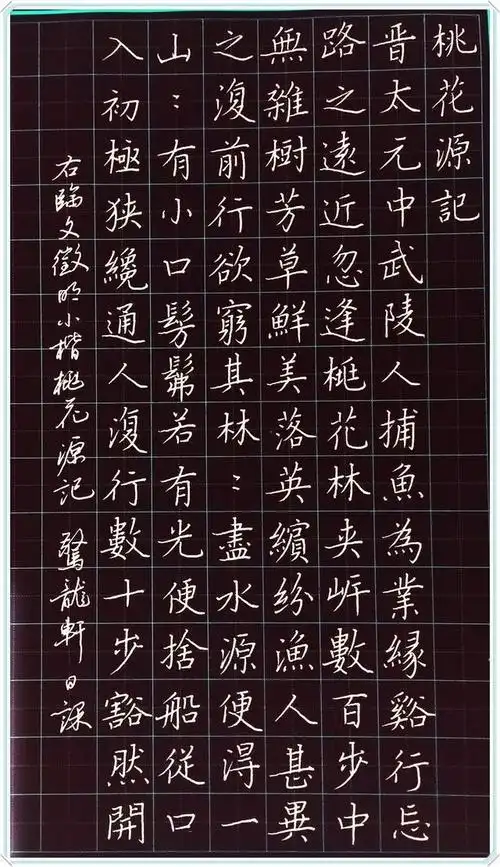 硬笔书法学经典明朝第一文徵明小楷桃花源记