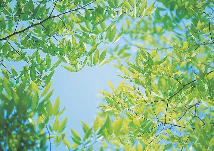【风景大自然摄影】图片免费下载_风景大自然摄影素材_风景大自然摄影