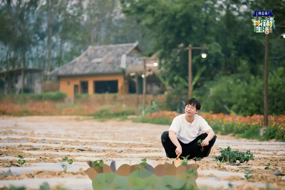 向往的生活剧照来喽～下厨做饭田间种瓜,特别的云南生活,期待值爆满!