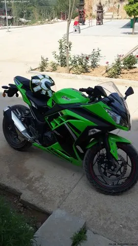 川崎小忍者作业求上首页