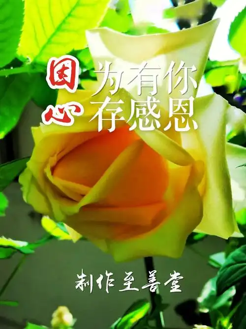 其它 一直善良下去,你就会幸福 写美篇我们需要做的是:   1,感恩给你