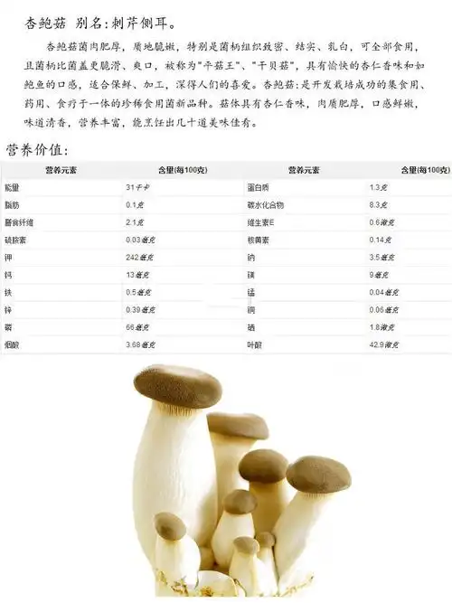 温州特色特产油炸杏鲍菇香脆爽口鸡腿香菇干货干菌菇 500g新货