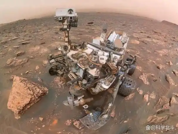 2008年nasa拍摄的火星照片其地表竟长出了树难道火星存在生命