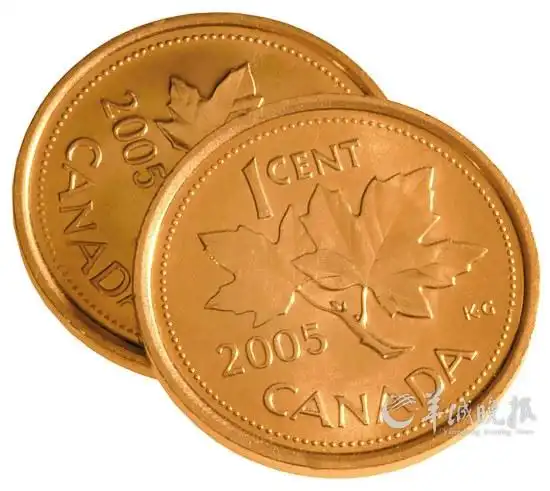 加拿大硬币上枫叶