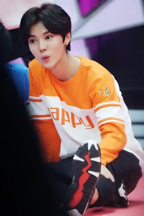 151022 《快乐大本营》录制-鹿晗-搜狗图片