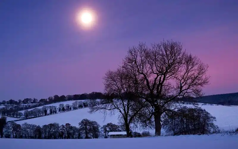 唯美月亮风景桌面壁纸 第6张 1920x1200 桌面壁纸 (天堂图片网)