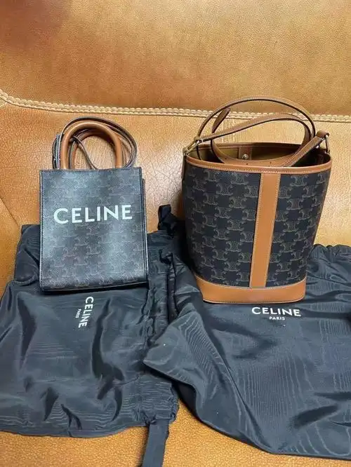 celine两款包
