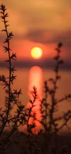 唯美意境晚霞落日壁纸 高清壁纸无水印