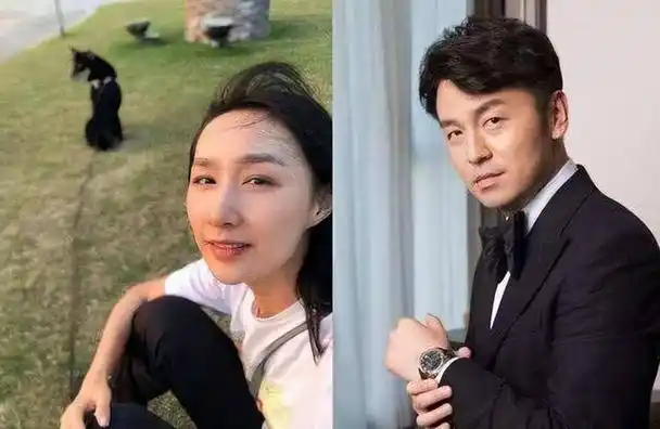 在娱乐圈里,有一位名叫雷佳音的演员,他的崭露头角花了许多年.