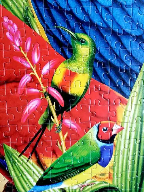 castorland巧思进口成人拼图3000片暮色黄昏成年减压益智玩具礼品-mc