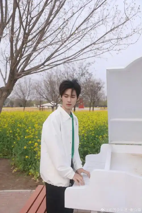 张真源油菜花田照