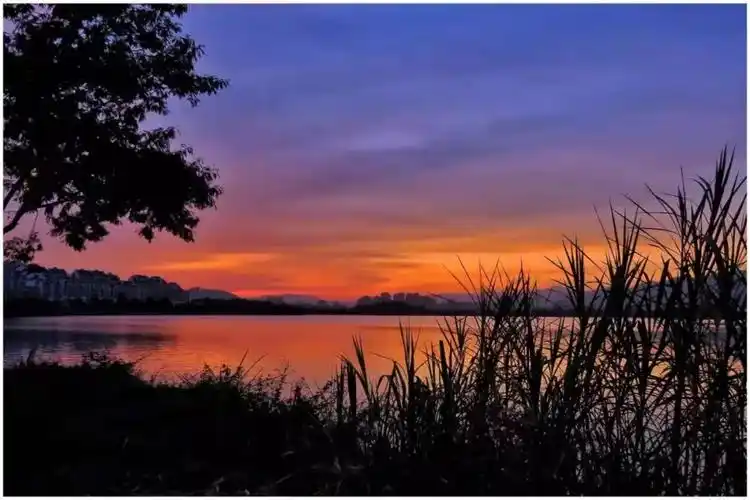 肇庆醉了,"漫天彩霞"刷爆朋友圈,张张都美到能当屏保.