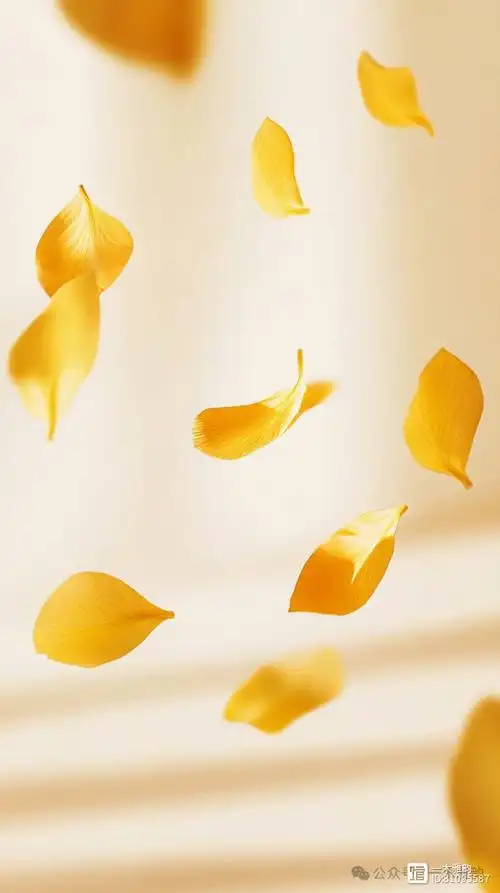 暖色秋意,落叶情深:秋季唯美壁纸,治愈你的每一天
